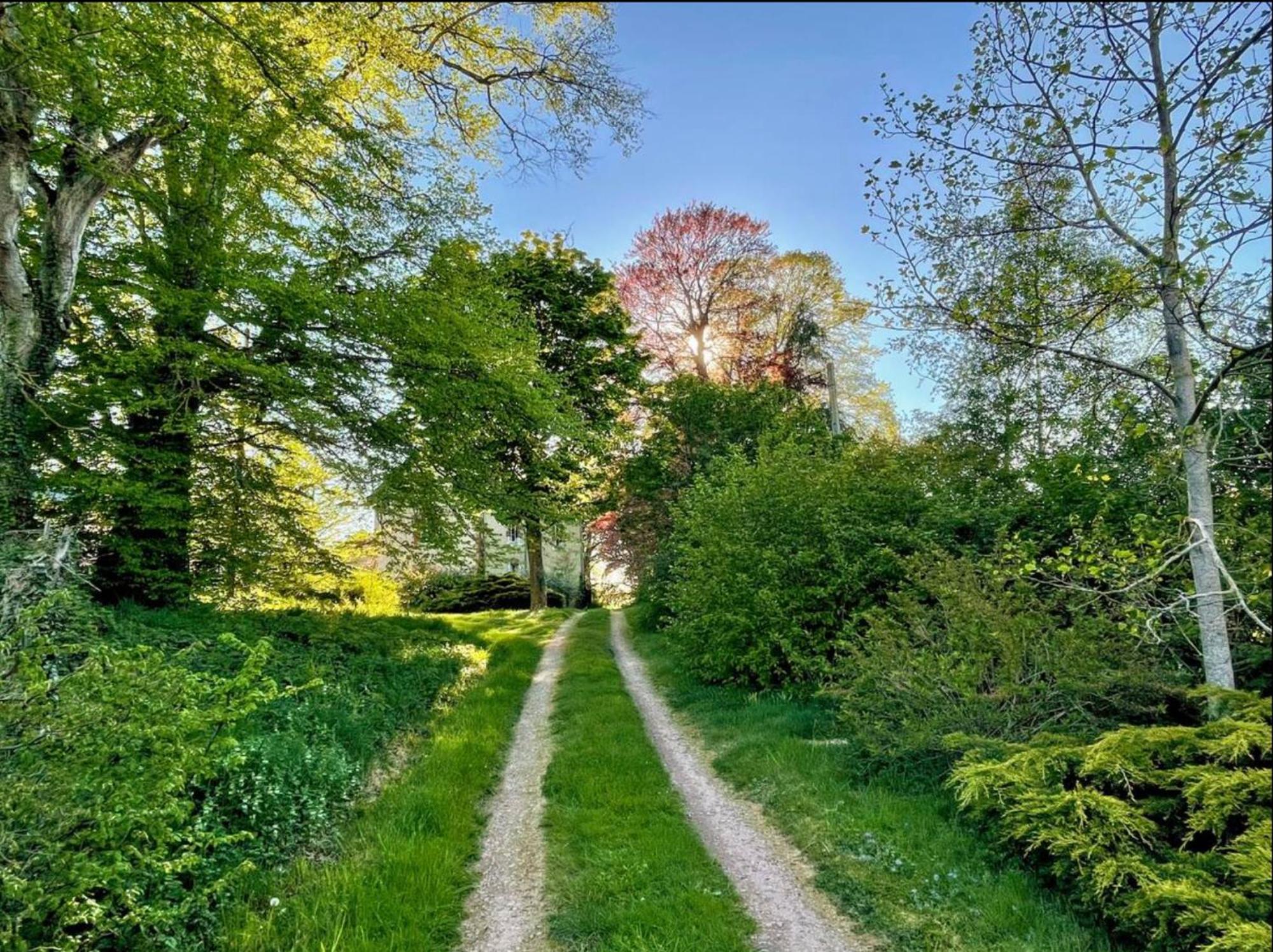 Chateau De La Combe La Celle  Eksteriør bilde