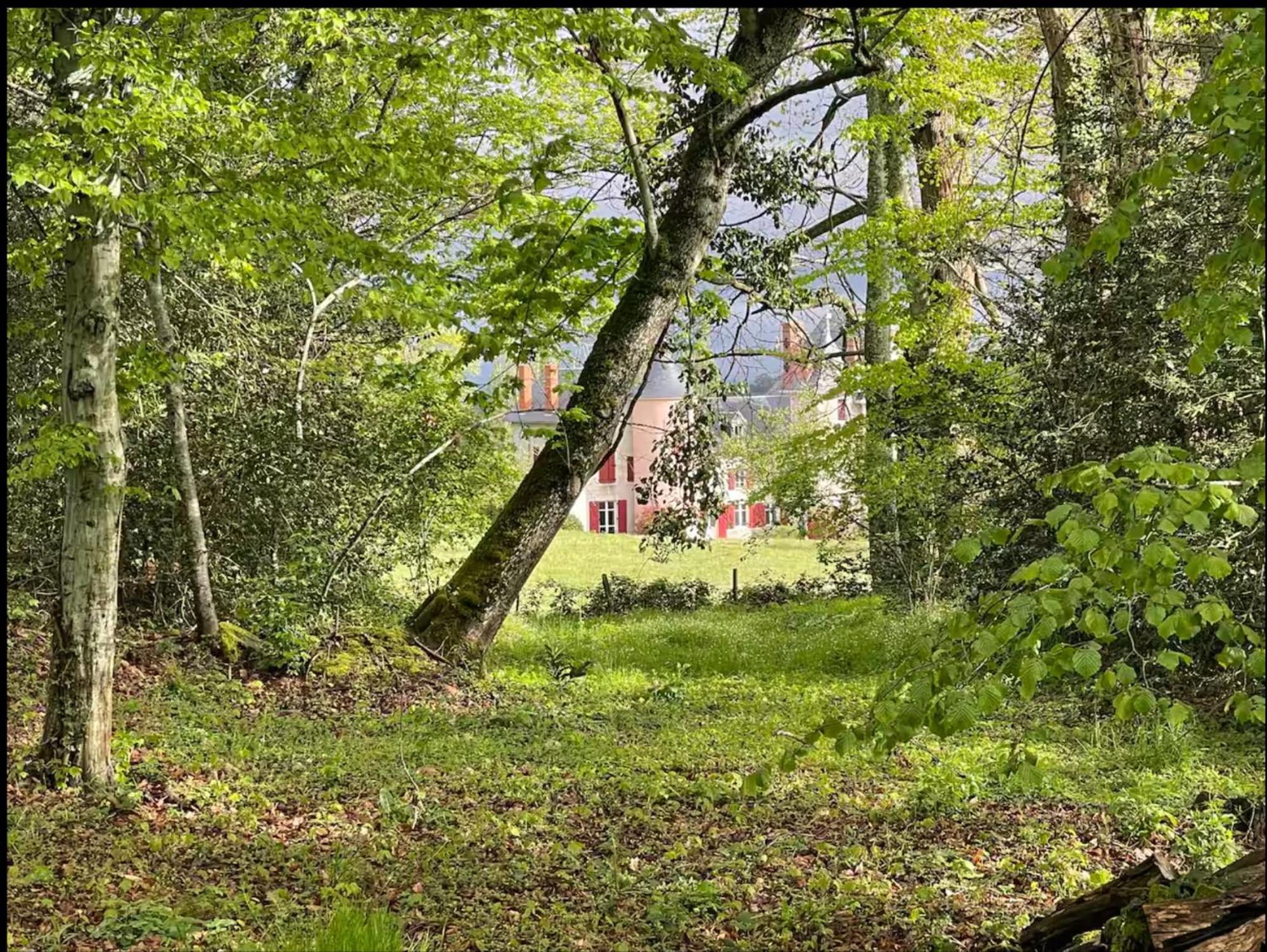 Chateau De La Combe La Celle  Eksteriør bilde