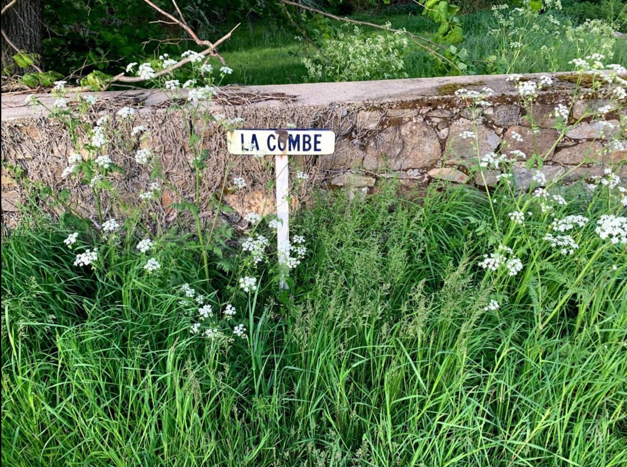 Chateau De La Combe La Celle  Eksteriør bilde